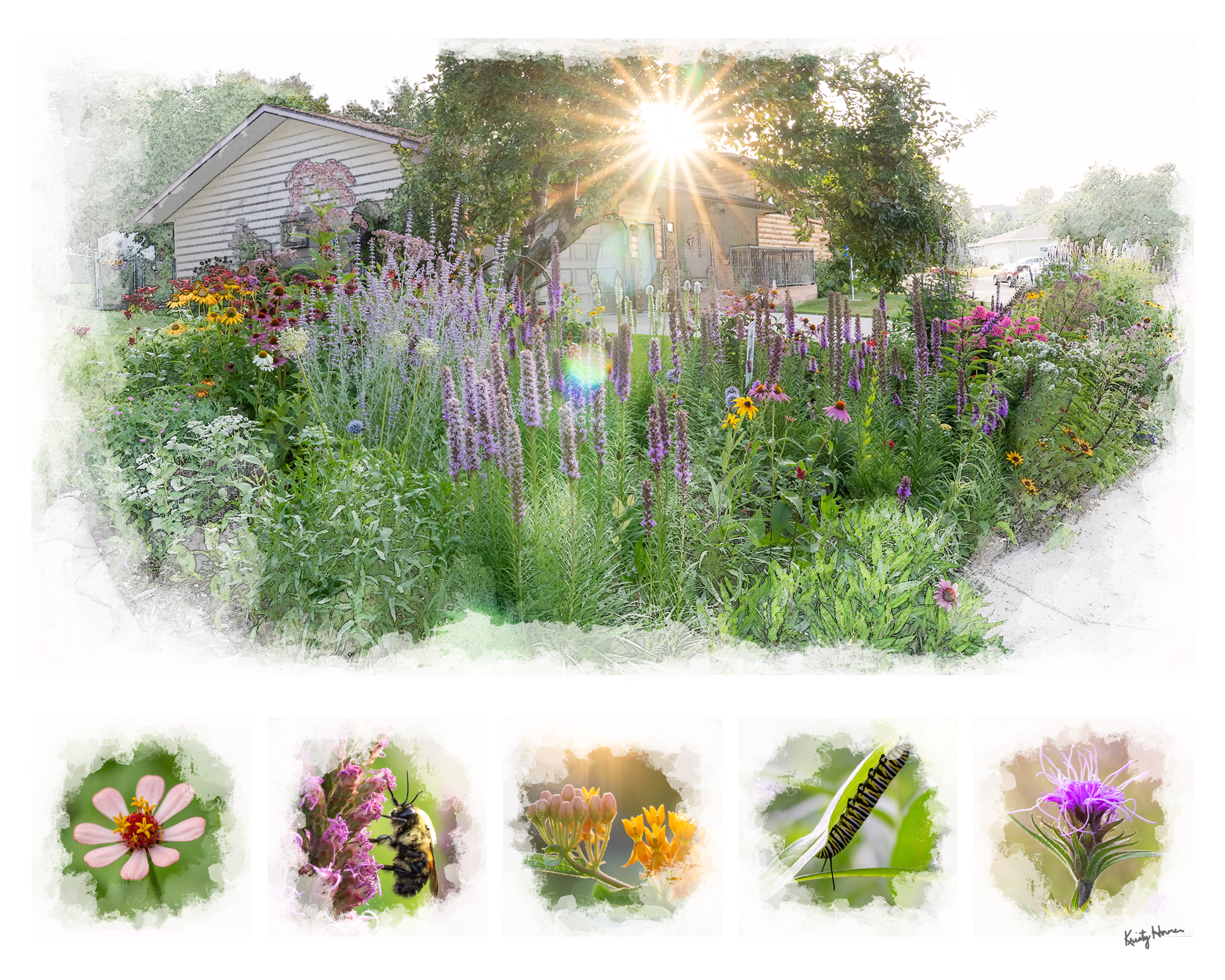 Garden portrait